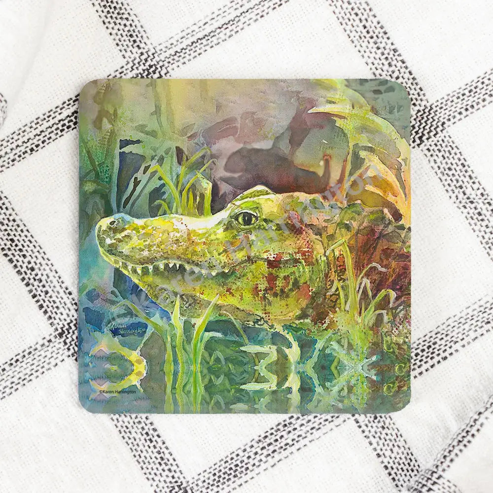 Swamp Gator-Coaster Neoprene Back (Square) 4PK Coasters