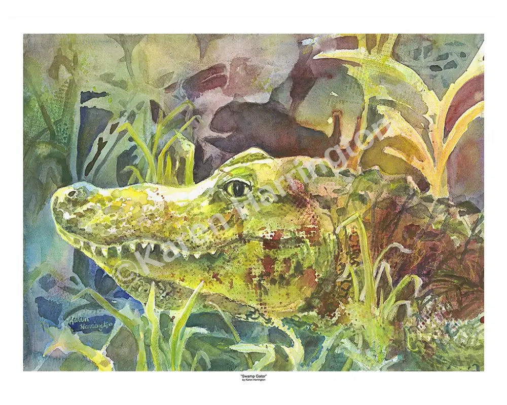 ’Swamp Gator’ Limited Edition Giclée Print