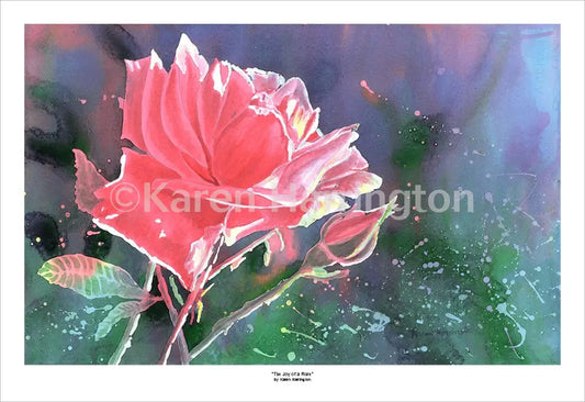 ’The Joy of a Rose’ Limited Edition Giclée Print